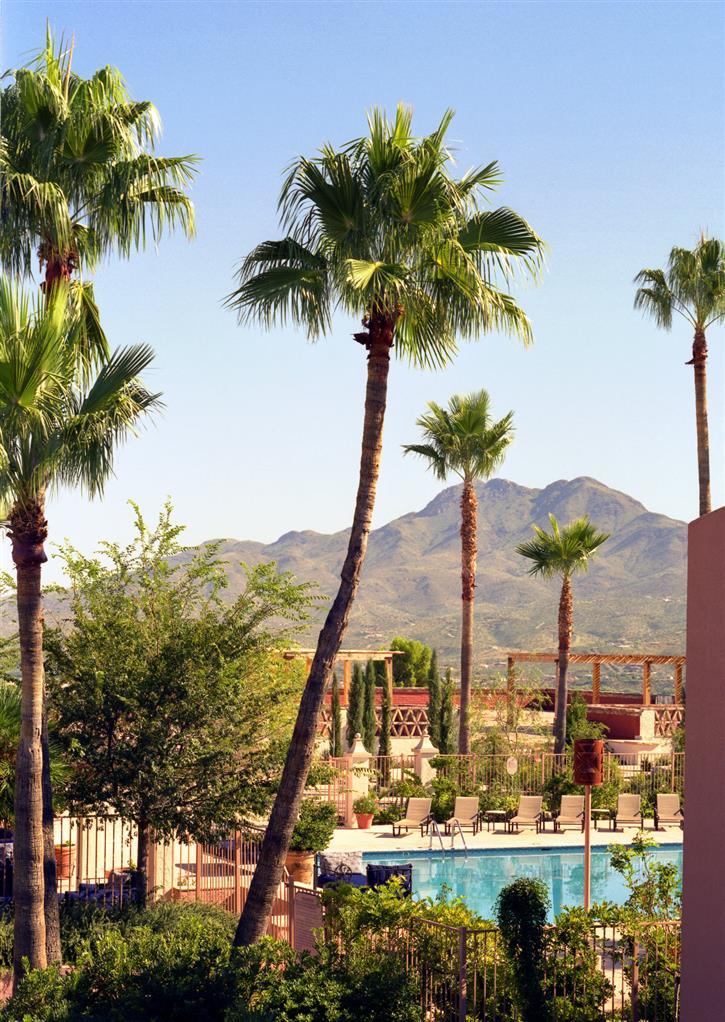 Esplendor Resort At Rio Rico Einrichtungen foto