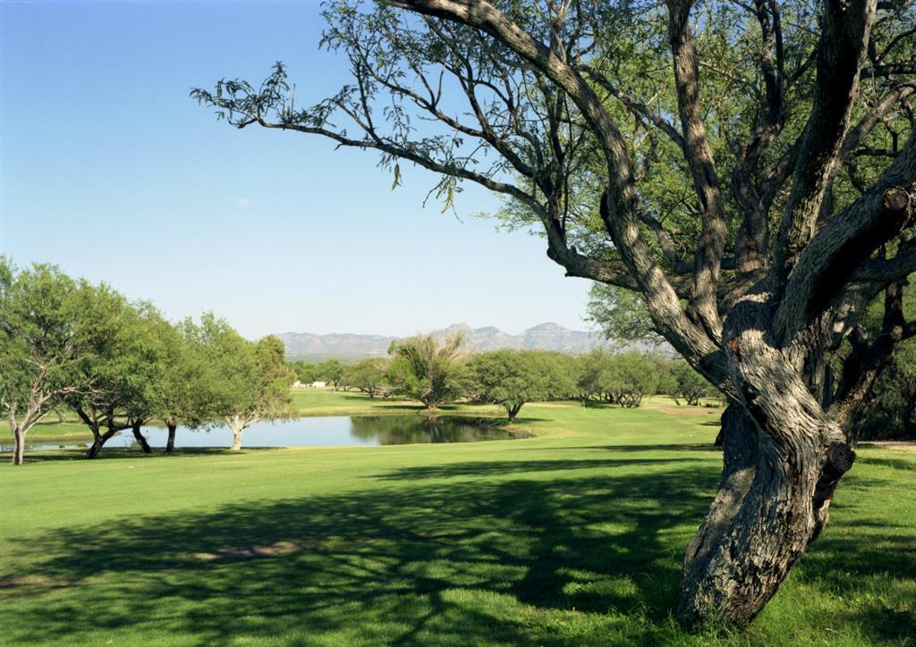 Esplendor Resort At Rio Rico Einrichtungen foto